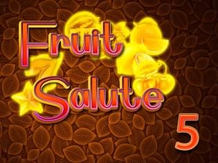 Fruit Salute 5 screenshot