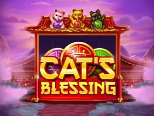 Cat's Blessing screenshot
